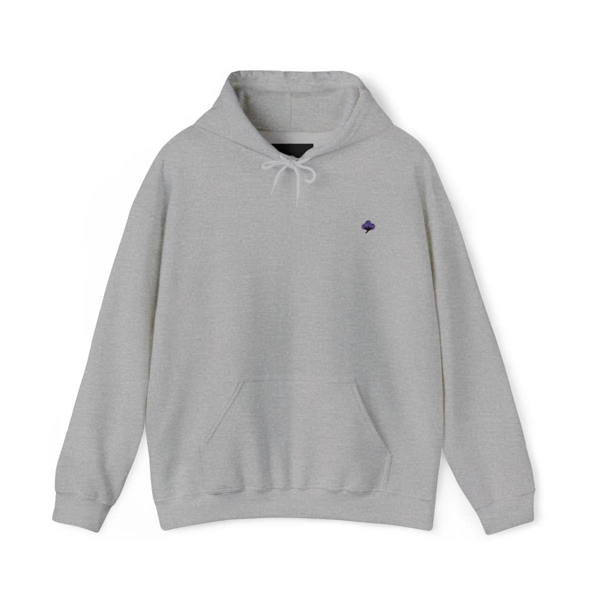 Paxta Heather Grey Hoodie